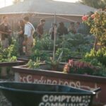 Ashleigh Cummings Instagram - We have until 4pm PST today to raise $90,000 - then an anonymous donor will put up the last $50,000 so the community of Compton can own and save their land. Link in bio 🌳💗 Look at this place, man. Food drives delivering organic food, home essentials, and health care kits for 500 families in the community. A therapeutic space for recently incarcerated youth supported by @hoops4justice . Artistic and cultural discourse. Organic gardening education and workshops. And more and more and more 💚 In their words: “Compton Community Garden is a communal effort to directly address ecological & social inequalities in Compton & beyond.” “WE DESERVE HEALTHY FOODS. WE DESERVE SAFE GREEN SPACES. WE DESERVE A SPACE TO SHARE ART, CULTURES & PERSPECTIVES. AND WE WILL HAVE A PLACE TO REAFFIRM OUR RELATIONSHIP WITH THE NATURAL WORLD, AS ONE.” *Beauteous photos by @trentonsullivann where tagged. If anyone knows who took the others, let me know! I didn’t take any of them 🙏 The Compton Community Garden