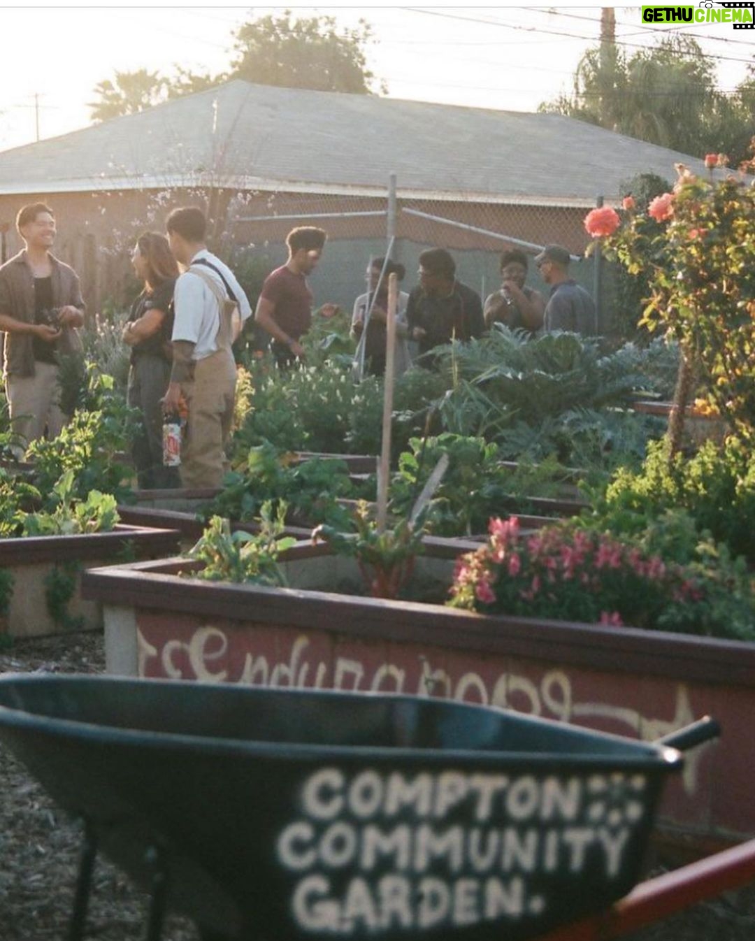 Ashleigh Cummings Instagram - We have until 4pm PST today to raise $90,000 - then an anonymous donor will put up the last $50,000 so the community of Compton can own and save their land. Link in bio ๐ณ๐ Look at this place, man. Food drives delivering organic food, home essentials, and health care kits for 500 families in the community. A therapeutic space for recently incarcerated youth supported by @hoops4justice . Artistic and cultural discourse. Organic gardening education and workshops. And more and more and more ๐ In their words: โCompton Community Garden is a communal effort to directly address ecological & social inequalities in Compton & beyond.โ โWE DESERVE HEALTHY FOODS. WE DESERVE SAFE GREEN SPACES. WE DESERVE A SPACE TO SHARE ART, CULTURES & PERSPECTIVES. AND WE WILL HAVE A PLACE TO REAFFIRM OUR RELATIONSHIP WITH THE NATURAL WORLD, AS ONE.โ *Beauteous photos by @trentonsullivann where tagged. If anyone knows who took the others, let me know! I didnโt take any of them ๐ The Compton Community Garden