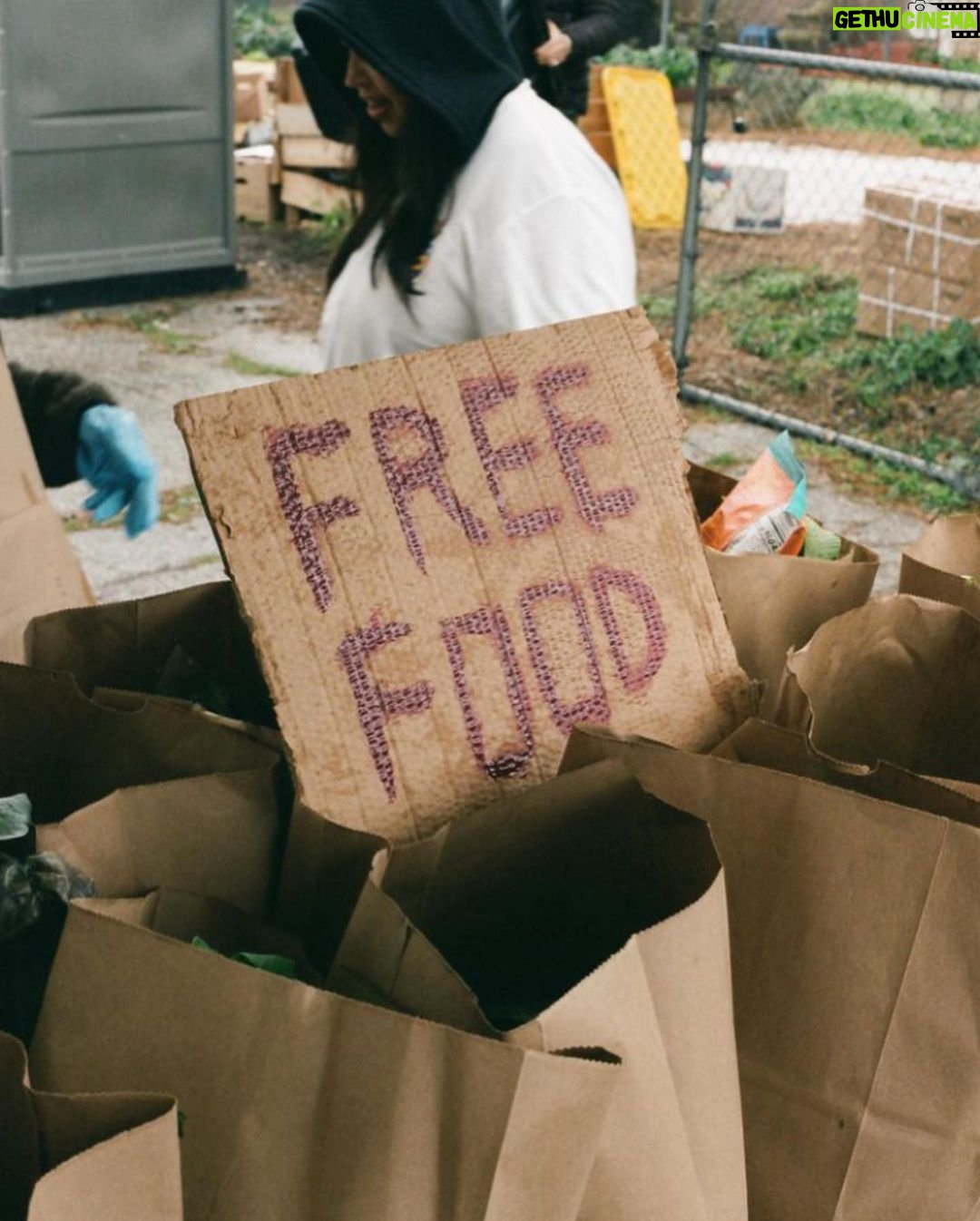 Ashleigh Cummings Instagram - We have until 4pm PST today to raise $90,000 - then an anonymous donor will put up the last $50,000 so the community of Compton can own and save their land. Link in bio ๐ณ๐ Look at this place, man. Food drives delivering organic food, home essentials, and health care kits for 500 families in the community. A therapeutic space for recently incarcerated youth supported by @hoops4justice . Artistic and cultural discourse. Organic gardening education and workshops. And more and more and more ๐ In their words: โCompton Community Garden is a communal effort to directly address ecological & social inequalities in Compton & beyond.โ โWE DESERVE HEALTHY FOODS. WE DESERVE SAFE GREEN SPACES. WE DESERVE A SPACE TO SHARE ART, CULTURES & PERSPECTIVES. AND WE WILL HAVE A PLACE TO REAFFIRM OUR RELATIONSHIP WITH THE NATURAL WORLD, AS ONE.โ *Beauteous photos by @trentonsullivann where tagged. If anyone knows who took the others, let me know! I didnโt take any of them ๐ The Compton Community Garden