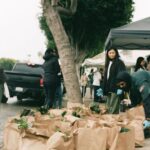 Ashleigh Cummings Instagram - We have until 4pm PST today to raise $90,000 - then an anonymous donor will put up the last $50,000 so the community of Compton can own and save their land. Link in bio 🌳💗 Look at this place, man. Food drives delivering organic food, home essentials, and health care kits for 500 families in the community. A therapeutic space for recently incarcerated youth supported by @hoops4justice . Artistic and cultural discourse. Organic gardening education and workshops. And more and more and more 💚 In their words: “Compton Community Garden is a communal effort to directly address ecological & social inequalities in Compton & beyond.” “WE DESERVE HEALTHY FOODS. WE DESERVE SAFE GREEN SPACES. WE DESERVE A SPACE TO SHARE ART, CULTURES & PERSPECTIVES. AND WE WILL HAVE A PLACE TO REAFFIRM OUR RELATIONSHIP WITH THE NATURAL WORLD, AS ONE.” *Beauteous photos by @trentonsullivann where tagged. If anyone knows who took the others, let me know! I didn’t take any of them 🙏 The Compton Community Garden