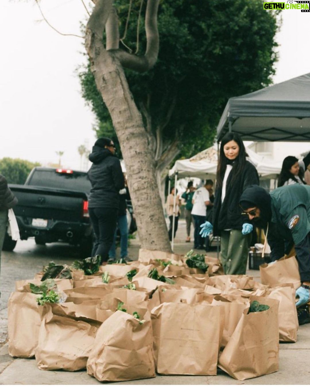 Ashleigh Cummings Instagram - We have until 4pm PST today to raise $90,000 - then an anonymous donor will put up the last $50,000 so the community of Compton can own and save their land. Link in bio ๐ณ๐ Look at this place, man. Food drives delivering organic food, home essentials, and health care kits for 500 families in the community. A therapeutic space for recently incarcerated youth supported by @hoops4justice . Artistic and cultural discourse. Organic gardening education and workshops. And more and more and more ๐ In their words: โCompton Community Garden is a communal effort to directly address ecological & social inequalities in Compton & beyond.โ โWE DESERVE HEALTHY FOODS. WE DESERVE SAFE GREEN SPACES. WE DESERVE A SPACE TO SHARE ART, CULTURES & PERSPECTIVES. AND WE WILL HAVE A PLACE TO REAFFIRM OUR RELATIONSHIP WITH THE NATURAL WORLD, AS ONE.โ *Beauteous photos by @trentonsullivann where tagged. If anyone knows who took the others, let me know! I didnโt take any of them ๐ The Compton Community Garden