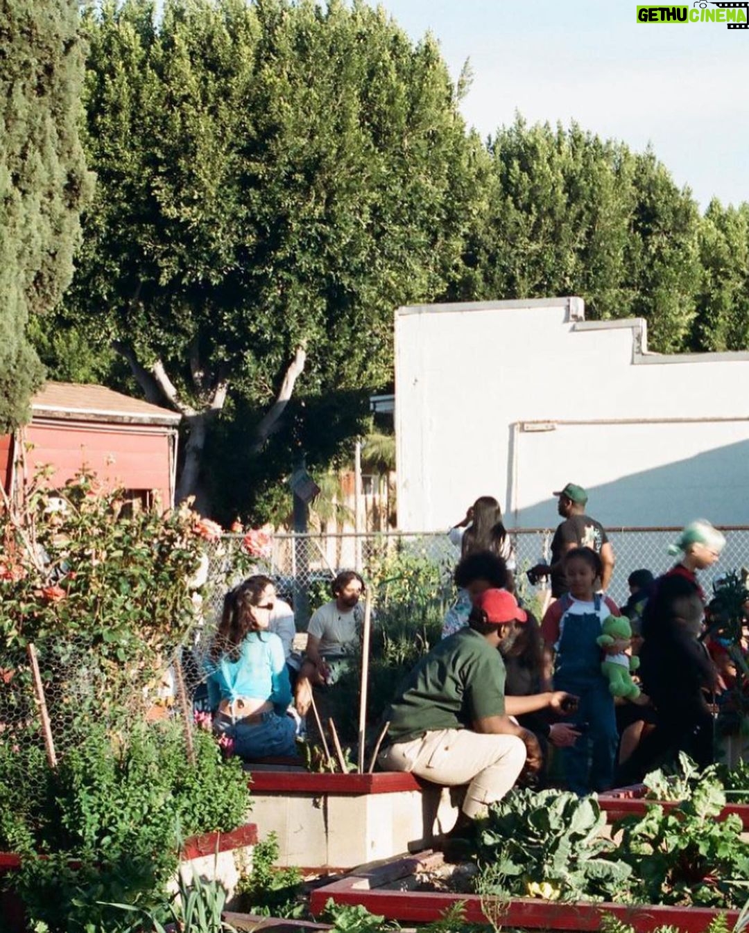 Ashleigh Cummings Instagram - We have until 4pm PST today to raise $90,000 - then an anonymous donor will put up the last $50,000 so the community of Compton can own and save their land. Link in bio ๐ณ๐ Look at this place, man. Food drives delivering organic food, home essentials, and health care kits for 500 families in the community. A therapeutic space for recently incarcerated youth supported by @hoops4justice . Artistic and cultural discourse. Organic gardening education and workshops. And more and more and more ๐ In their words: โCompton Community Garden is a communal effort to directly address ecological & social inequalities in Compton & beyond.โ โWE DESERVE HEALTHY FOODS. WE DESERVE SAFE GREEN SPACES. WE DESERVE A SPACE TO SHARE ART, CULTURES & PERSPECTIVES. AND WE WILL HAVE A PLACE TO REAFFIRM OUR RELATIONSHIP WITH THE NATURAL WORLD, AS ONE.โ *Beauteous photos by @trentonsullivann where tagged. If anyone knows who took the others, let me know! I didnโt take any of them ๐ The Compton Community Garden