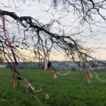 Ashleigh Cummings Instagram - Missed posting on earth day because I was out frolicking with some of her finest folk. Stay tuuuuuned for some earth edu over the next while in my Instagram stories 💚 and go outside and take a whiff of her sweet, zephyrous balm in the meantime!