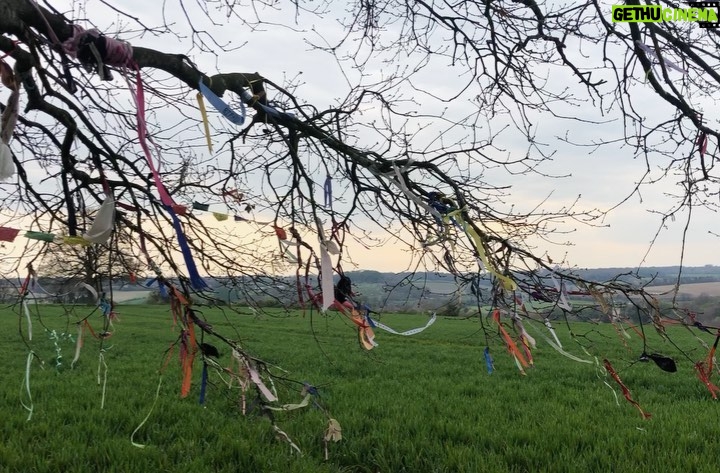 Ashleigh Cummings Instagram - Missed posting on earth day because I was out frolicking with some of her finest folk. Stay tuuuuuned for some earth edu over the next while in my Instagram stories 💚 and go outside and take a whiff of her sweet, zephyrous balm in the meantime!