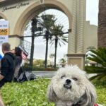 Augustus Prew Instagram - Cheech, me and Auntie Alexis out picketing the studios’ greed in support of our talented @wgawest writers!! As a proud @sagaftra union member, I’m here to support my colleagues and friends! We’re all in this together folks! No writers, no shows, no jobs for anyone. Pay our writers a fair livable wage AMPTP!! Los Angeles, California