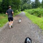 Augustus Prew Instagram - Ran up loads of hills and through Longleat Forest for several miles with a dog harnessed to me in Wiltshire with my hardcore cousin @feeblesb Highly recommend if you wanna get real sweaty and be at one with the universe and Flora her cocker spaniel 😋💦🐕‍🦺🦮 Shear Water Lake, Longleat Estate