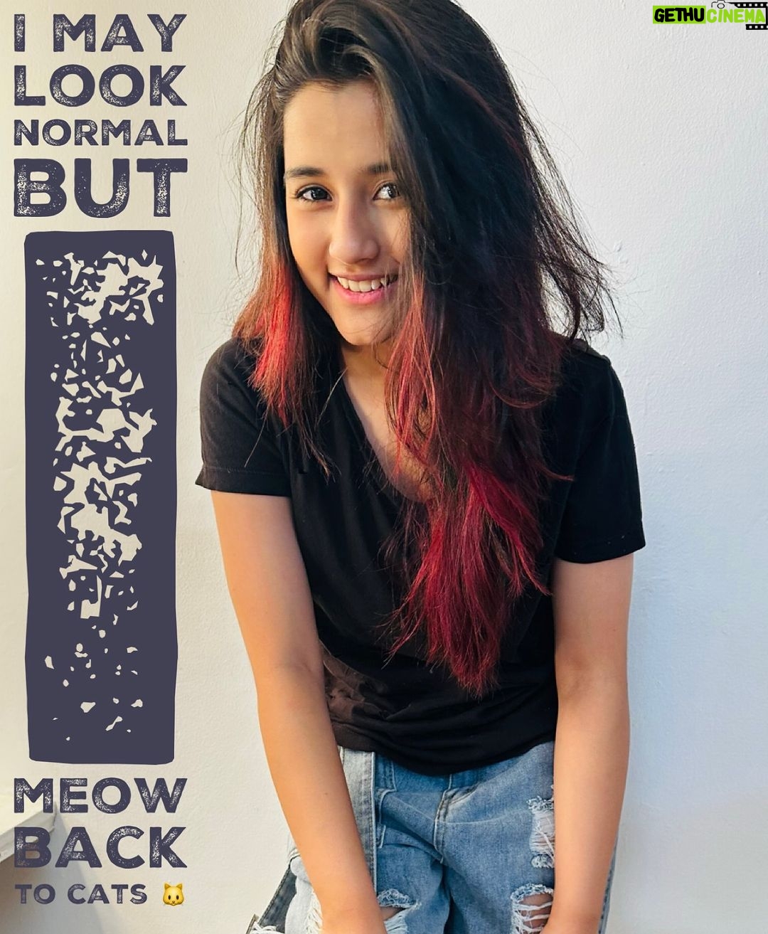 Aurra Bhatnagar Badoni Instagram - It’s kinda normal.. isn’t it 🤷♀️🐱 #normal #catlover #beingwhoiam