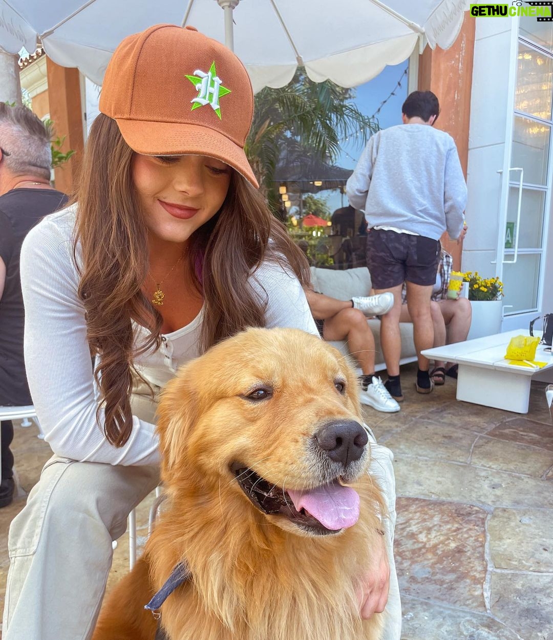 Ava Allan Instagram - What a good boy Los Angeles, California