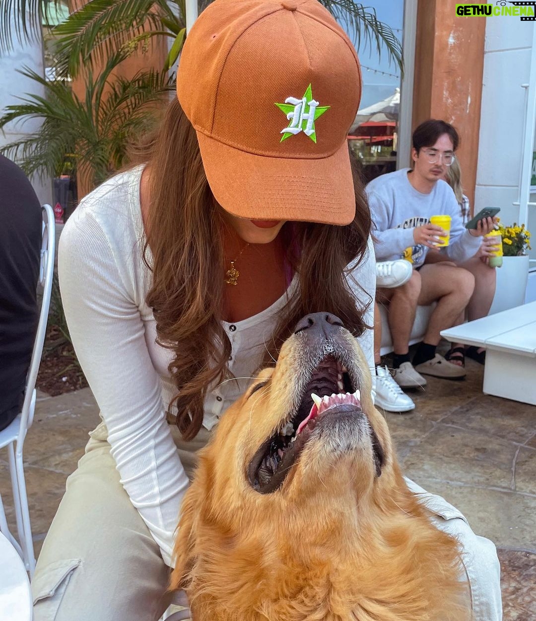 Ava Allan Instagram - What a good boy Los Angeles, California