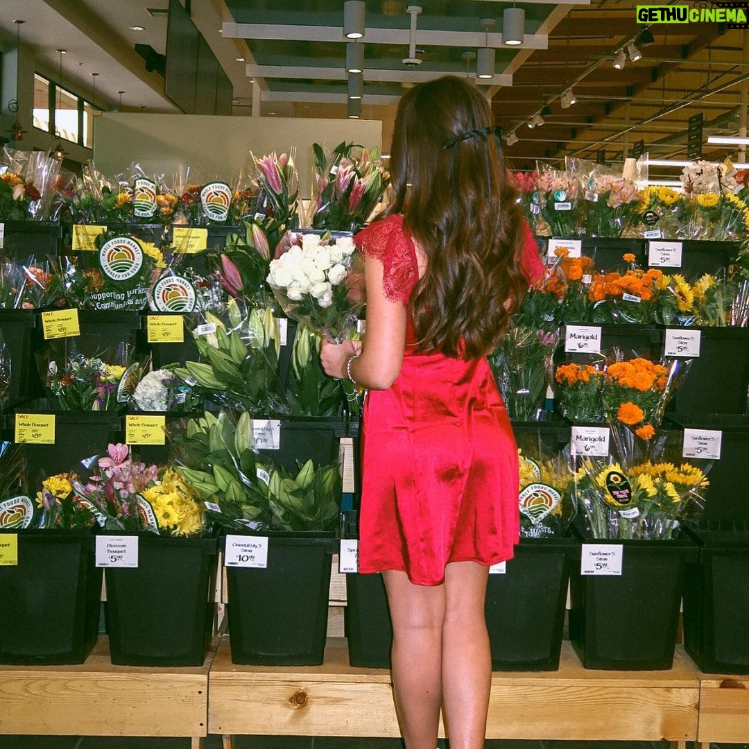Ava Allan Instagram - Code red in aisle 8 💃🏻 @hellomolly Los Angeles, California