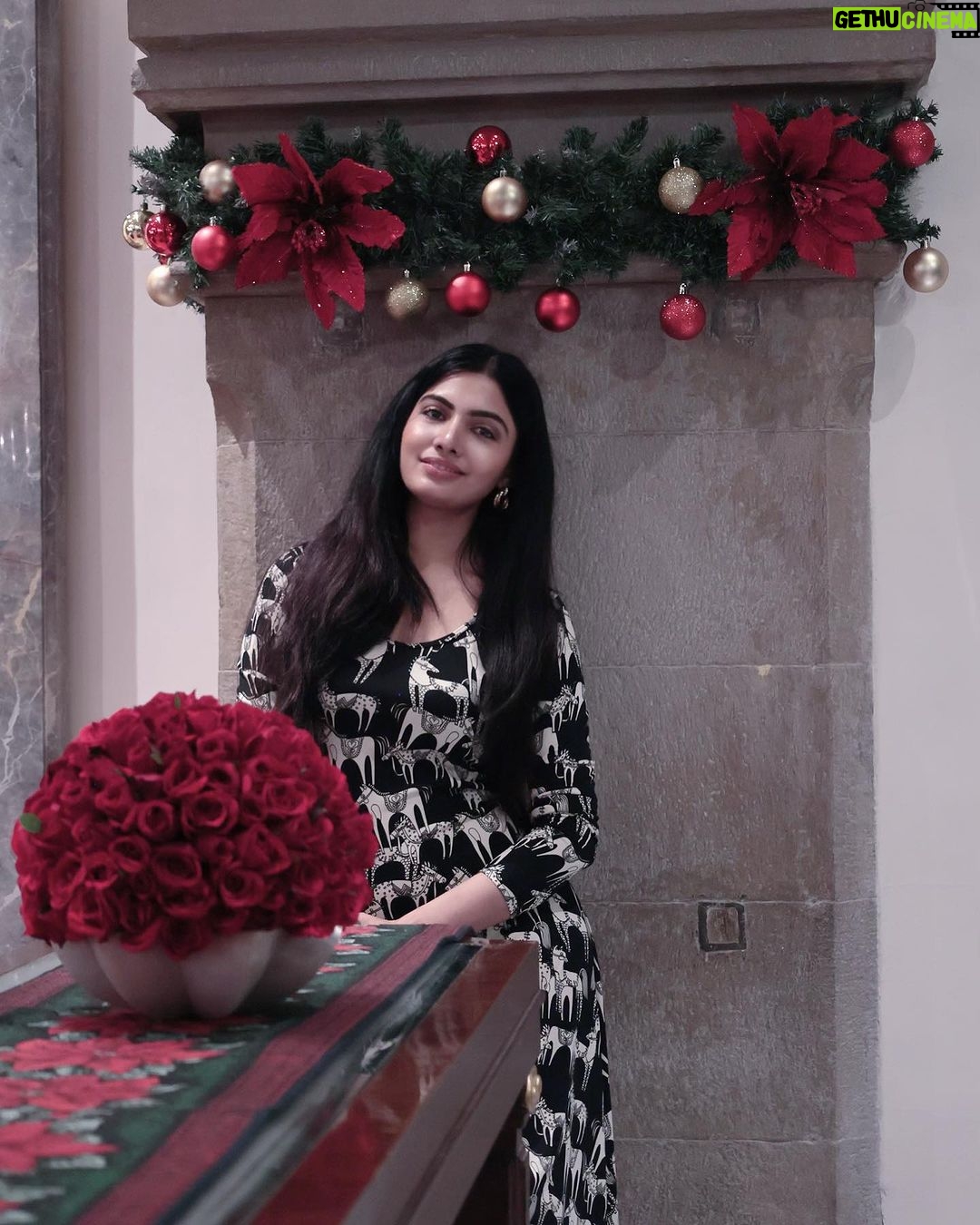 Avani Modi Instagram - Merry Christmas everyone 🎄🎅🏼❤️