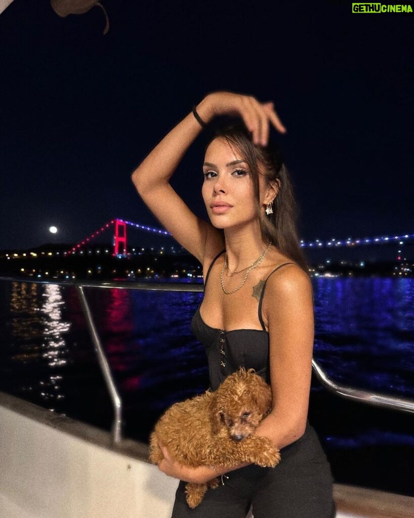 Ayşegül Çınar Instagram - 🐶🐾🫶