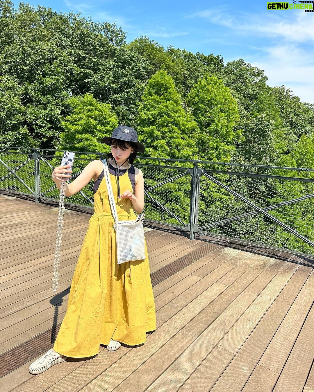 Ayuri Yoshinaga - 3.7K Likes - 🌱🌿🍃
黄色ワンピース映えるね🐤
onepiece:stylemixer
#自然 #森 #アウトドア #ワンピース #오오티디