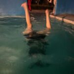 Ayuri Yoshinaga Instagram - 竜宮城の温水プールに入りました。 最後の写真オカンの足なんだけど、後ろに写ってるのって人なのかなぁ、、、人だったらごめんなさい！！！！