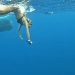 Bade Işcil Instagram - Birthday diving 🧜‍♀️🧜🏻‍♂️ #mauritius #whales Tamarin, Mauritius