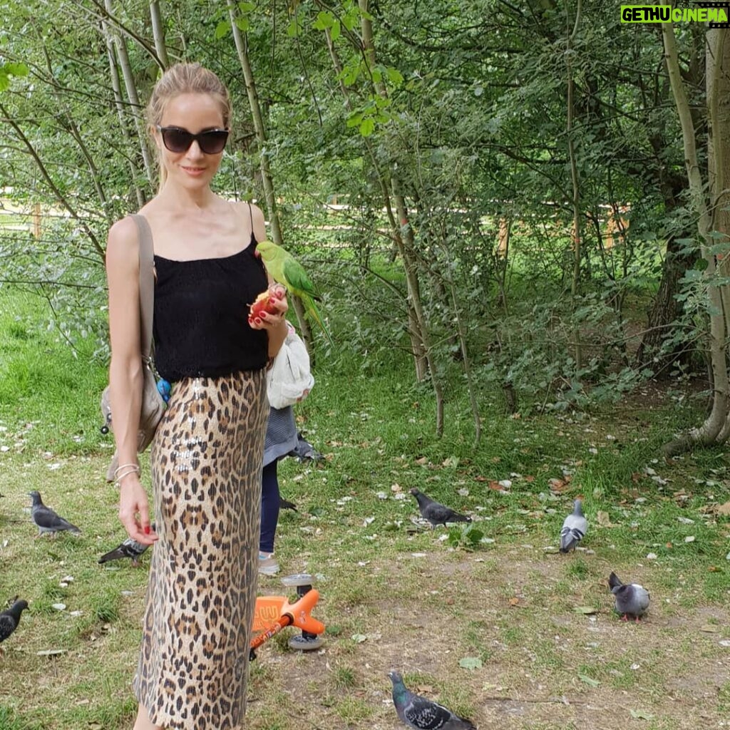 Bade Işcil Instagram - Pamuk prensesi ararken papaganla karsilastim 😋 Hyde Park / Green Park, London