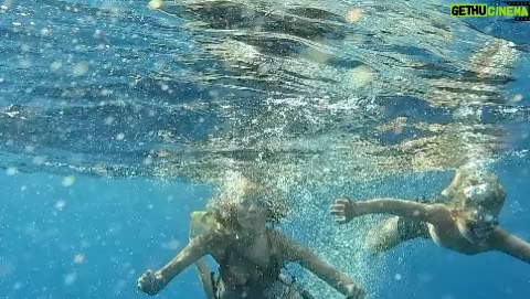 Bade Işcil Instagram - Birthday diving 🧜♀️🧜🏻♂️ #mauritius #whales Tamarin, Mauritius