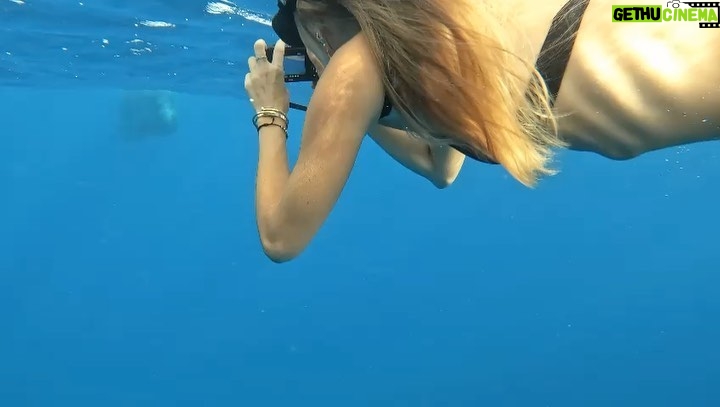Bade Işcil Instagram - Birthday diving 🧜♀️🧜🏻♂️ #mauritius #whales Tamarin, Mauritius
