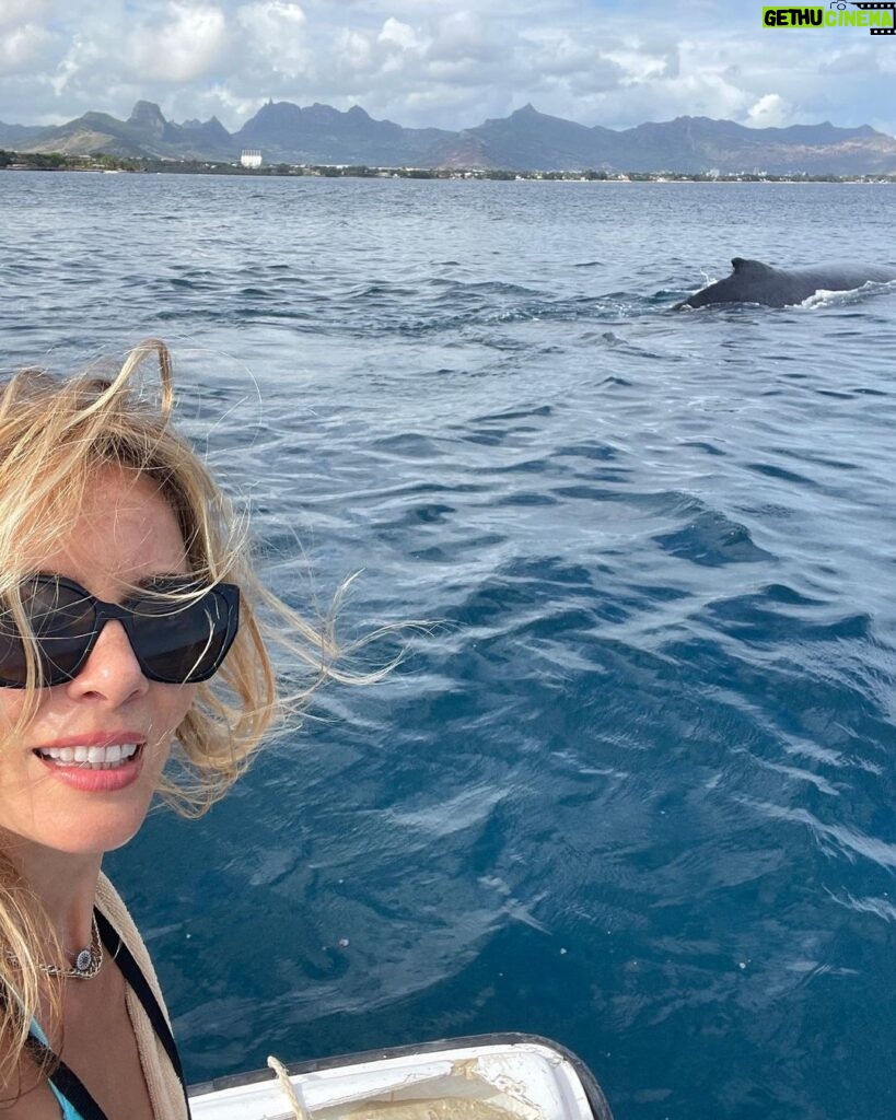 Bade Işcil Instagram - Kaptanımla dalışa giderken Balina ve yavrusu da bize eşlik etti 🧿🙏🏻 Mauritius