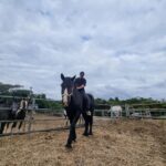 Baekho Instagram - 🐴