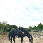 Baekho Instagram - 🐴