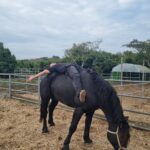 Baekho Instagram - 🐴