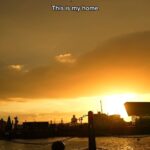 Banners Instagram - “The Best View In Liverpool” is out tomorrow! I think it’d work very nicely over football highlights. Works for literally any team I reckon....