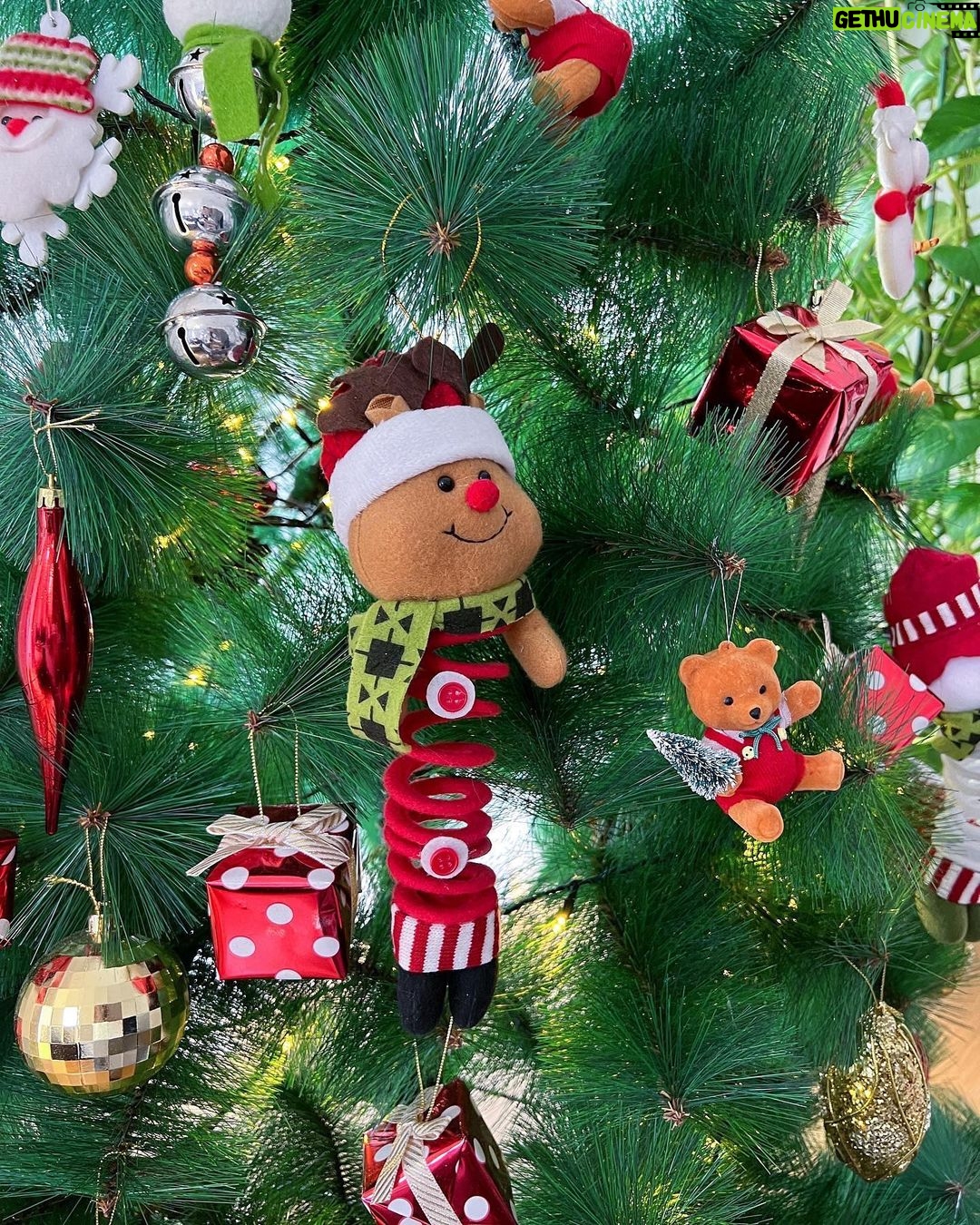 Barbara Akemi Katsuki Instagram - 25/12/2022🎄 Minokamo-shi, Gifu, Japan