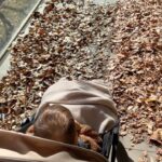 Barbara Akemi Katsuki Instagram - Making memories with my mini travel buddy☺️🍂🍁🤎 新宿御苑