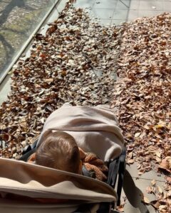 Barbara Akemi Katsuki Instagram - Making memories with my mini travel buddy☺️🍂🍁🤎 新宿御苑