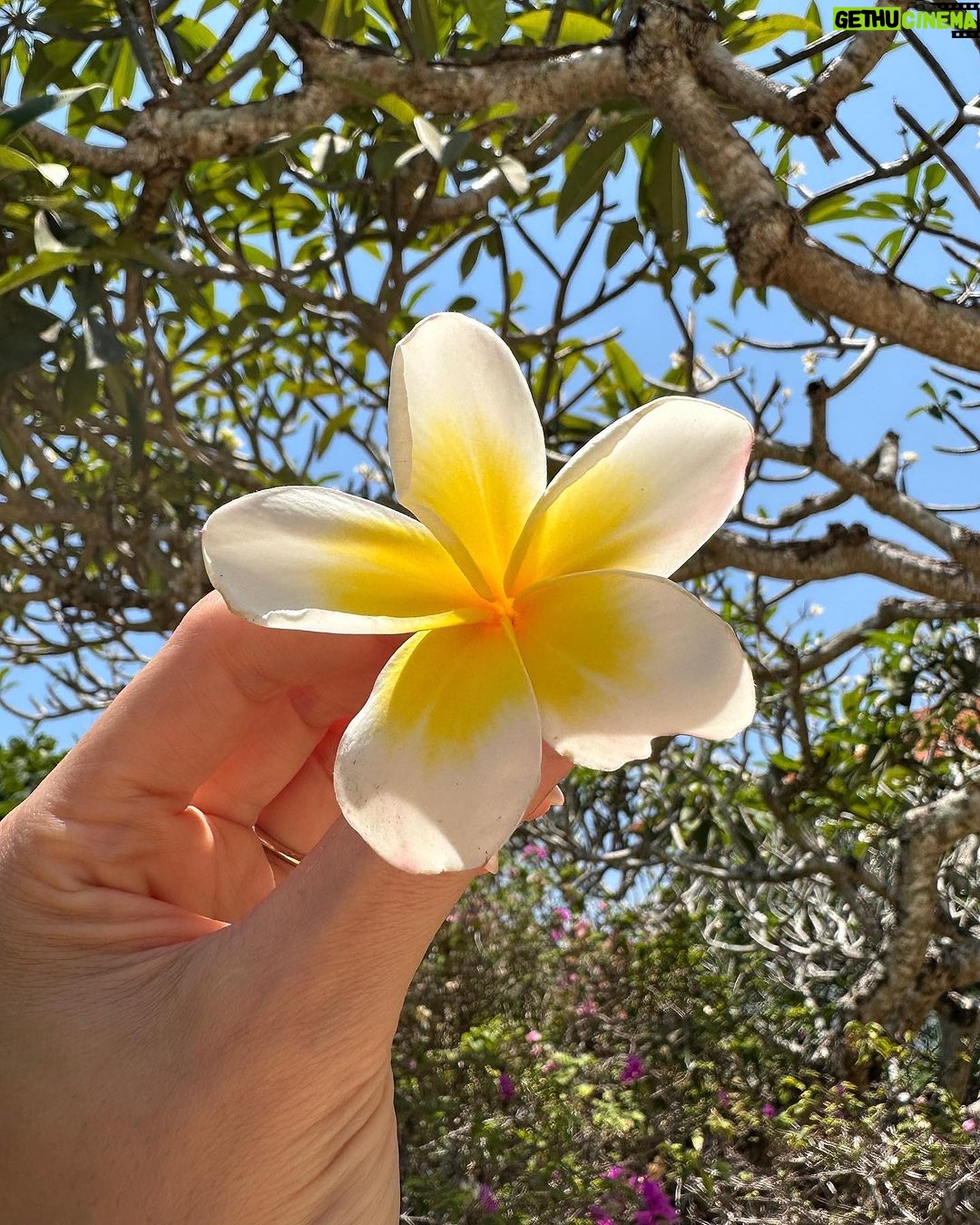 Barbara Akemi Katsuki Instagram - Mamãe's vacation🙃🌺☀️😌 Bali, Indonesia