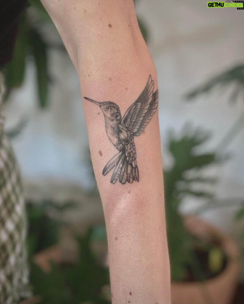 Barbara Dunkelman Instagram - Been waiting for this moment for years and it finally happened. I’m in love. Shoutout to my incredible artist, @sabotagedsiren at @tinytatsatx! The hummingbird is and always has been my favorite. You rarely see it at rest; it’s always working- a feeling I’m very familiar with. Among the many personal meanings behind this tattoo, I’ve also known I always wanted a bird- and this lil’ guy is just absolutely perfect.