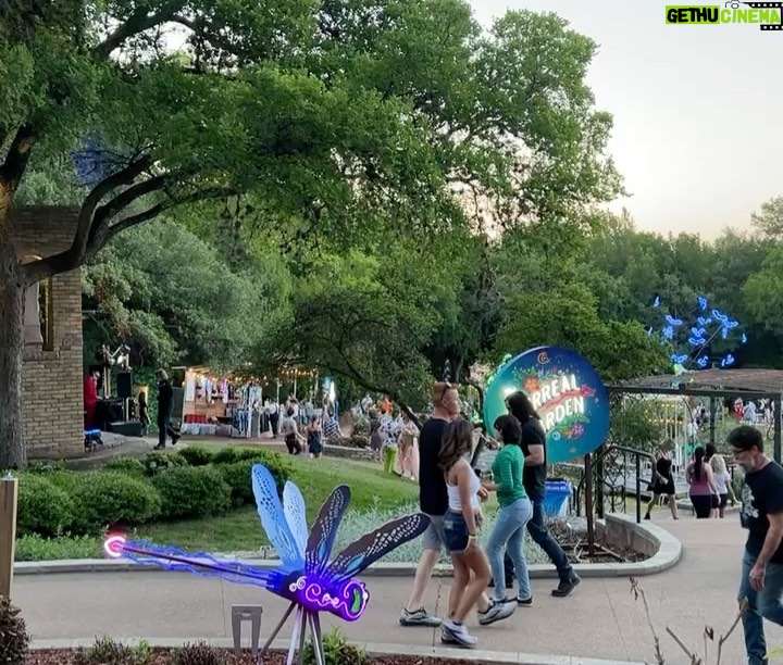 Barbara Dunkelman Instagram - Surreal Garden 🌈🌴🌳⛲️ Zilker Botanical Garden