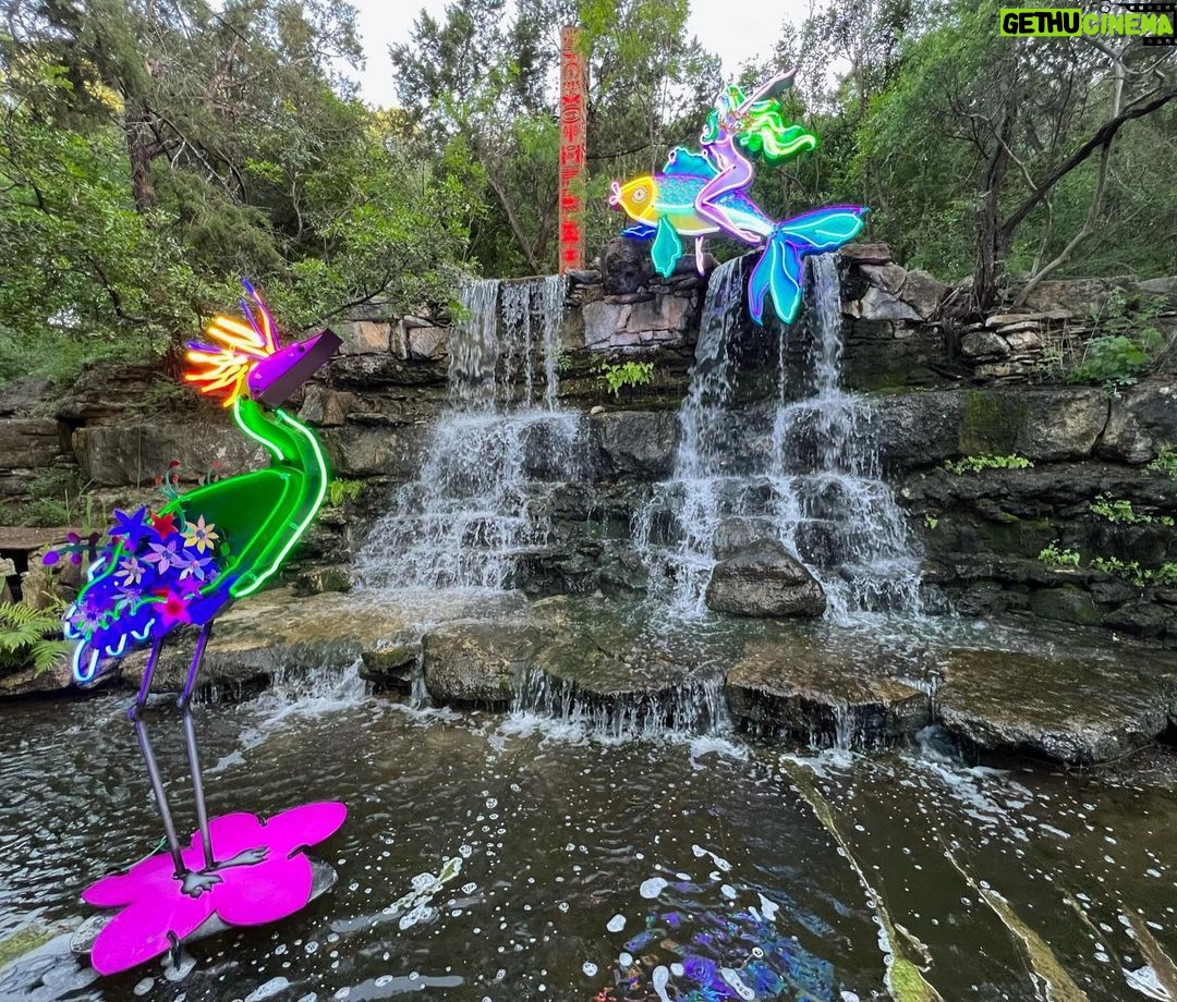 Barbara Dunkelman Instagram - Surreal Garden 🌈🌴🌳⛲️ Zilker Botanical Garden