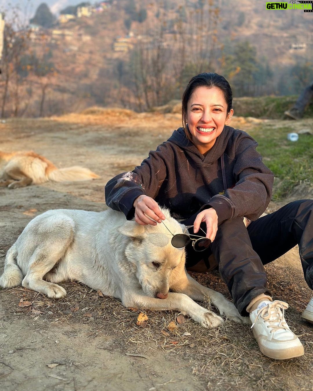 Barkha Singh Instagram - Walter didn’t want to cook today Also, #2024 yaaaaaa lovelies! 💗💗 getting back soon and I cannot wait to share photos from this magical trip with you lovelies 🤗✨ Before you ask the boss doggo is pahadi and my boss hoodie is from @graykloud 🖤 @easel_stories @oakpinionpr #happynewyear #newyear #doggo