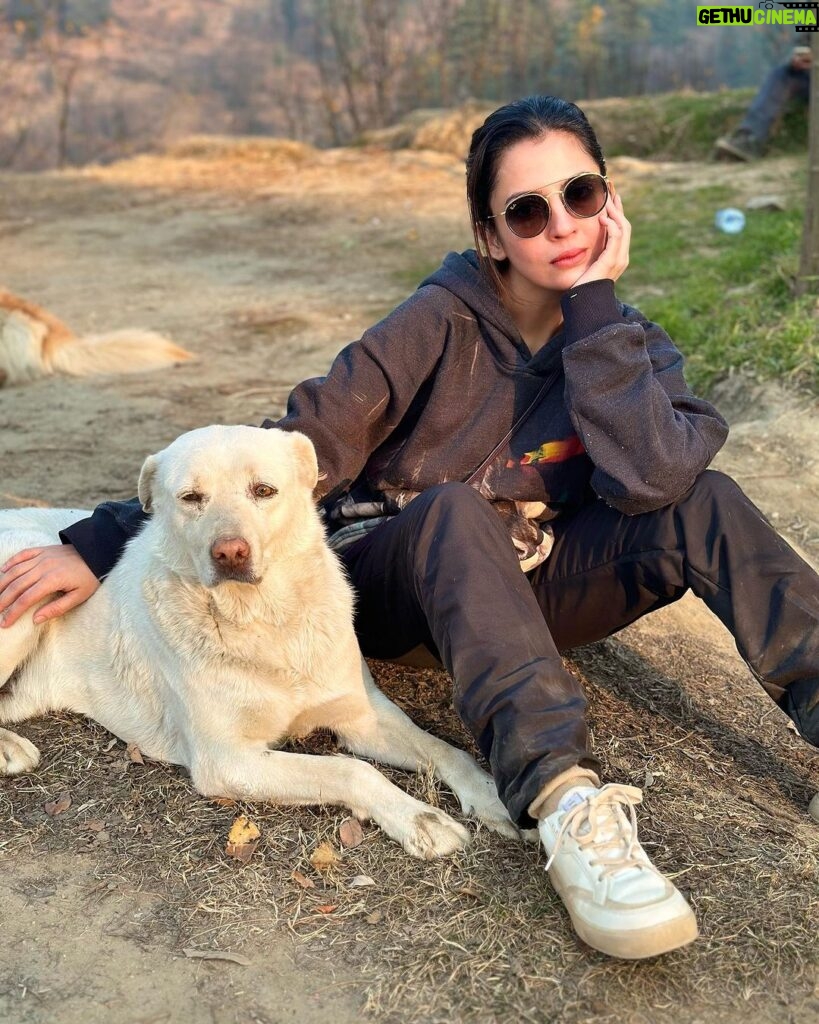 Barkha Singh Instagram - Walter didn’t want to cook today Also, #2024 yaaaaaa lovelies! 💗💗 getting back soon and I cannot wait to share photos from this magical trip with you lovelies 🤗✨ Before you ask the boss doggo is pahadi and my boss hoodie is from @graykloud 🖤 @easel_stories @oakpinionpr #happynewyear #newyear #doggo