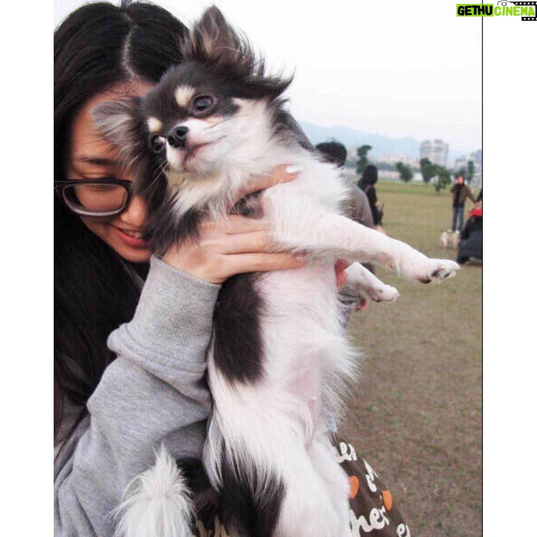 Bea Hayden Kuo Instagram - 牢牢的回憶,老老的想念🍃 #郭碧婷 #guobiting #beahayden