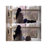 Bea Hayden Kuo Instagram - 🐈🐱 #郭碧婷 #guobiting #beahayden
