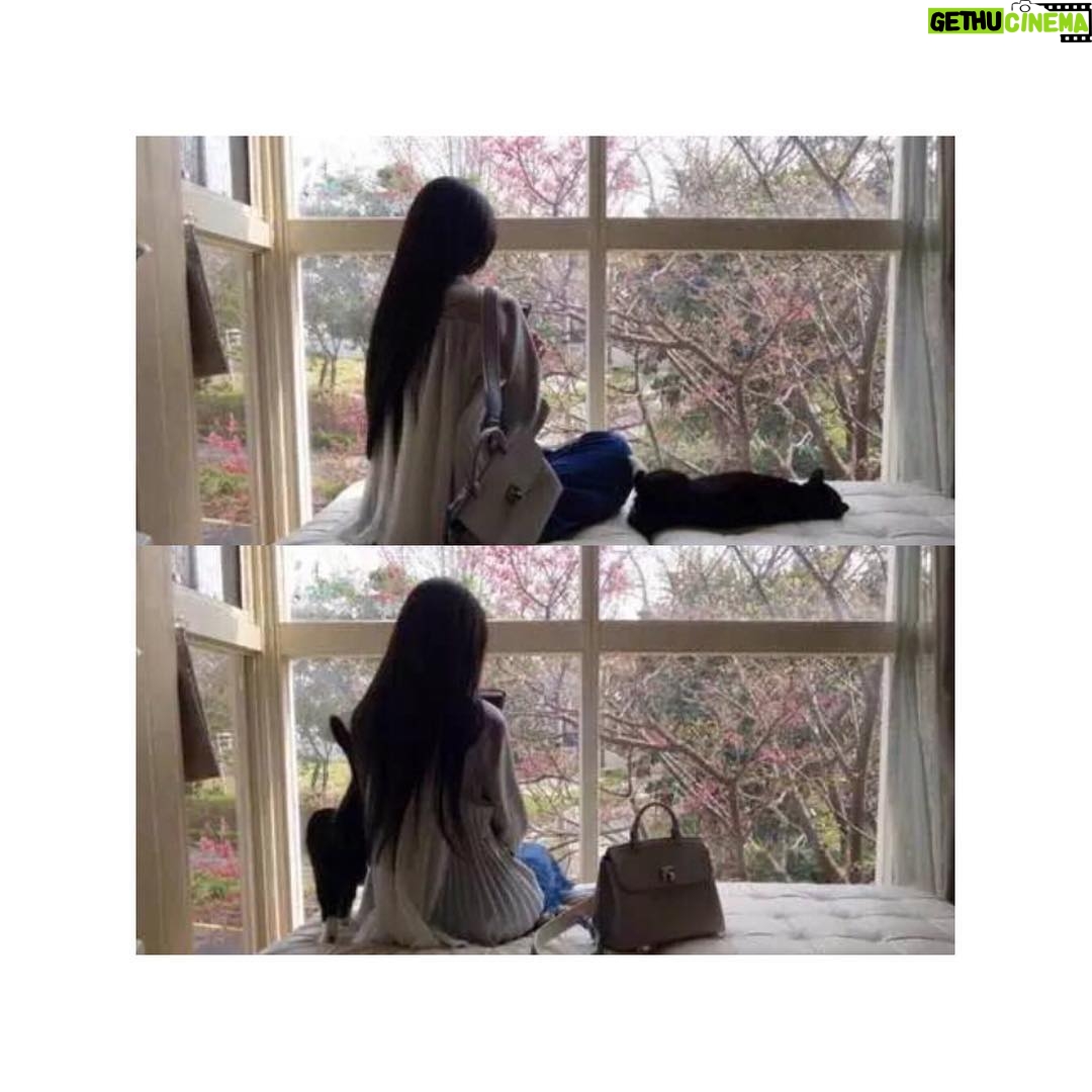 Bea Hayden Kuo Instagram - 🐈🐱 #郭碧婷 #guobiting #beahayden