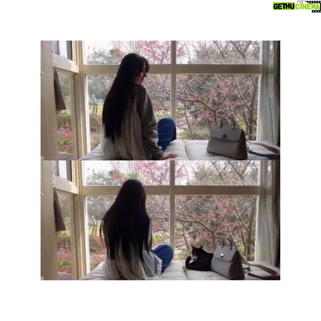 Bea Hayden Kuo - 2K Likes - 🐈🐱
#郭碧婷 #guobiting #beahayden