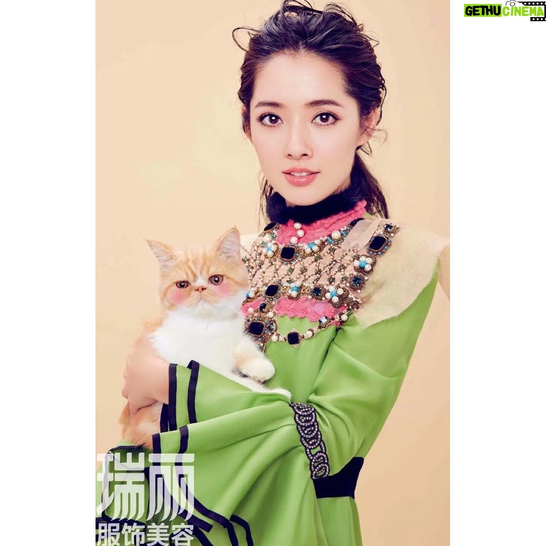 Bea Hayden Kuo - 2K Likes - 💚
#郭碧婷 #guobiting #beahayden