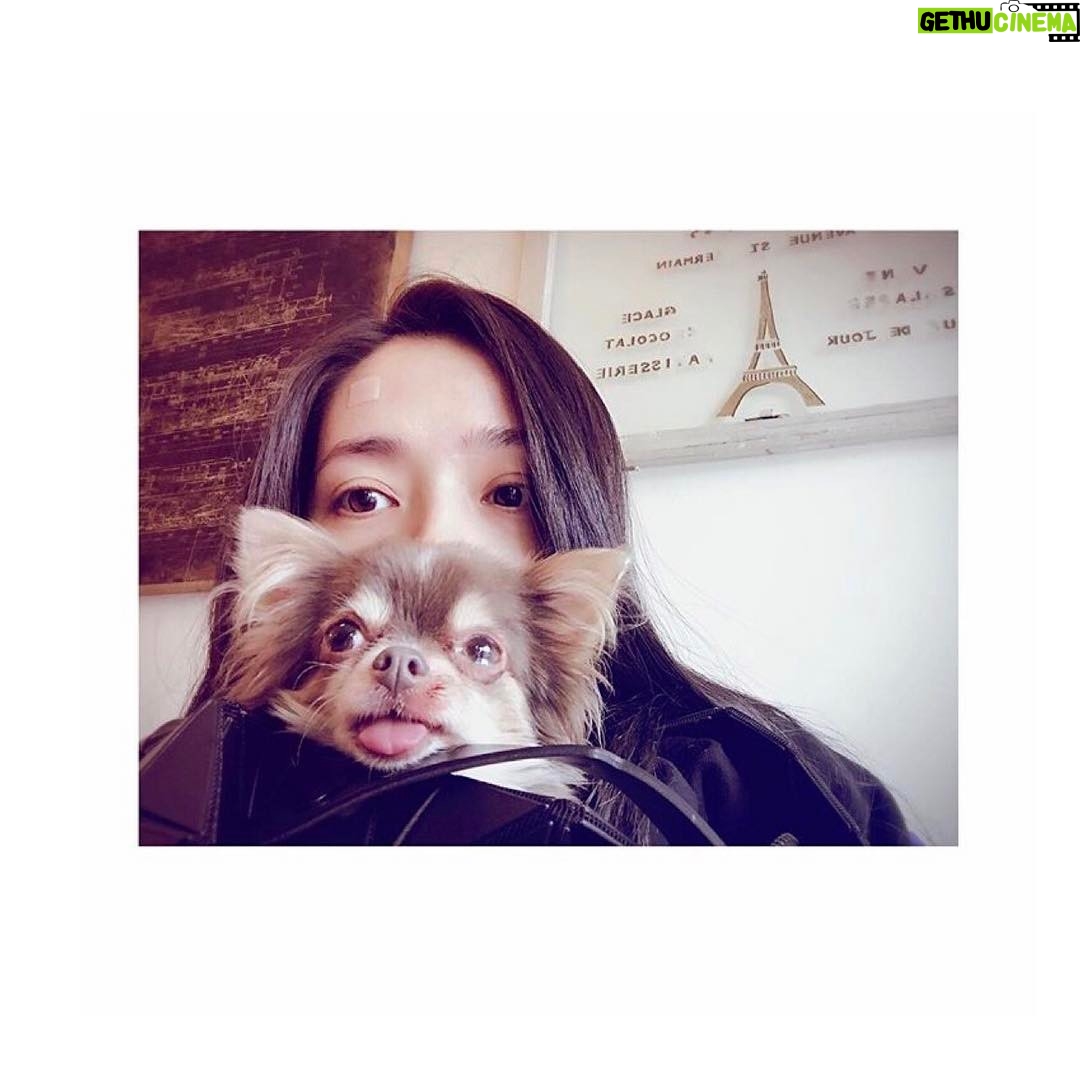 Bea Hayden Kuo - 2.7K Likes - #郭碧婷 #guobiting #beahayden