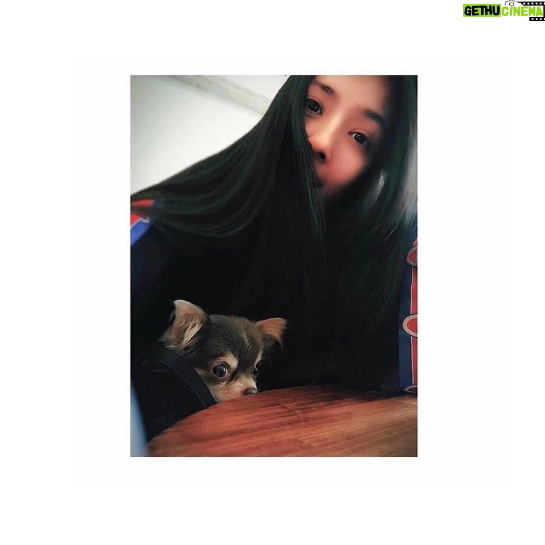 Bea Hayden Kuo - 2K Likes - 🌙😴
#郭碧婷 #guobiting #beahayden