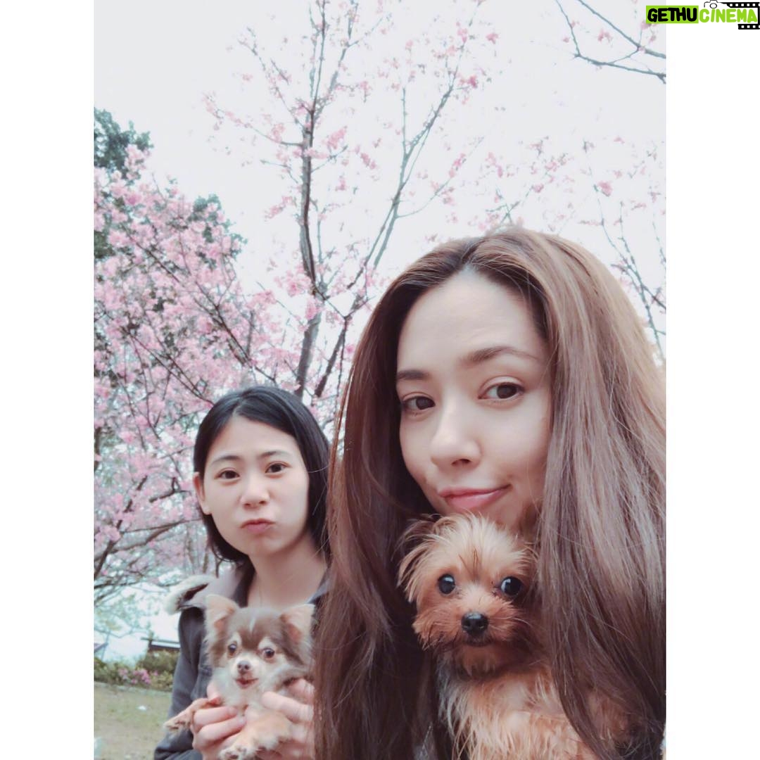 Bea Hayden Kuo - 7.8K Likes - 🐶🌸
#郭碧婷 #guobiting #beahayden #樱花