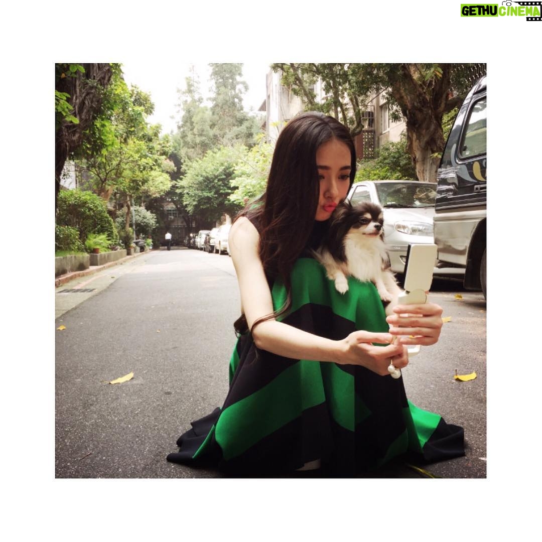 Bea Hayden Kuo Instagram - 💚🍀 #郭碧婷 #guobiting #beahayden