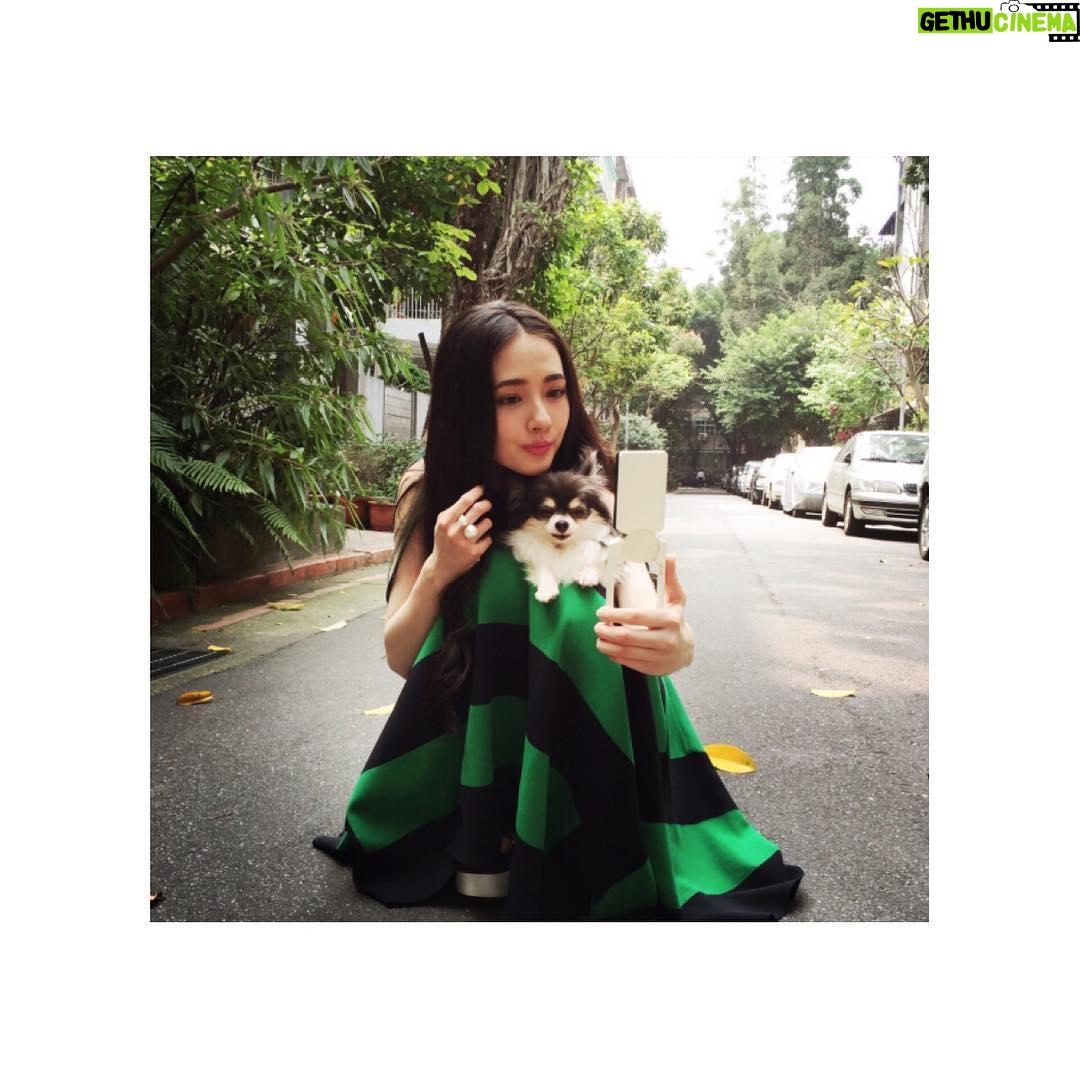Bea Hayden Kuo - 3.2K Likes - 💚🍀
#郭碧婷 #guobiting #beahayden
