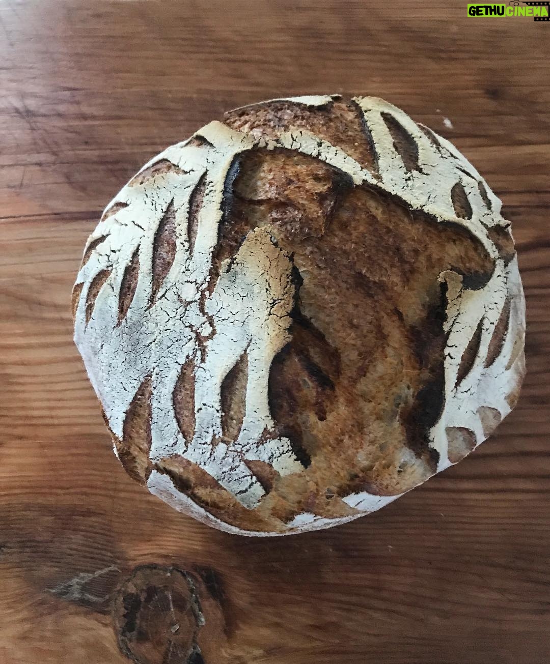Beau Garrett Instagram - Knead #mymotheristhemotherofdragons #makesourdough #eatit