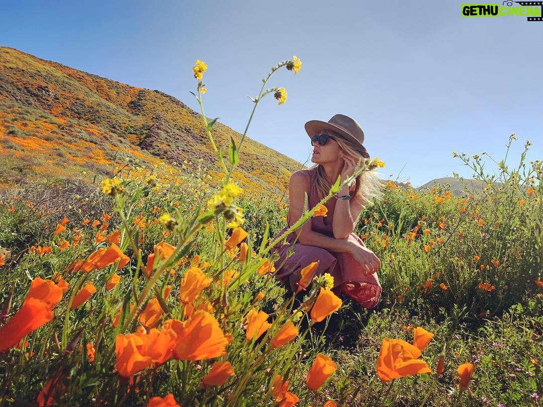 Beau Garrett Instagram - Delicately shift your weight between the miracle that is life