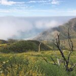 Beau Garrett Instagram - I hike because when my soul feels weak, it reminds me my body is strong. I hike because when I am hopeless it fills me with wonder. I hike because when I feel lost, it provides me endless trails to find myself. I hike because when I need community it surrounds me with birds, snakes, flowers, trees, deer, lizards and like minded humans. I hike because deep within me is a wanderer and the mountains never stop showing me how endlessly undiscovered it is. I hike because no matter where I am, it welcomes me home. #whyihike #eddiebauer Point Mugu State Park