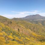 Beau Garrett Instagram - I hike because when my soul feels weak, it reminds me my body is strong. I hike because when I am hopeless it fills me with wonder. I hike because when I feel lost, it provides me endless trails to find myself. I hike because when I need community it surrounds me with birds, snakes, flowers, trees, deer, lizards and like minded humans. I hike because deep within me is a wanderer and the mountains never stop showing me how endlessly undiscovered it is. I hike because no matter where I am, it welcomes me home. #whyihike #eddiebauer Point Mugu State Park